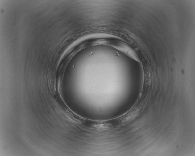 X0000070190558200606021100