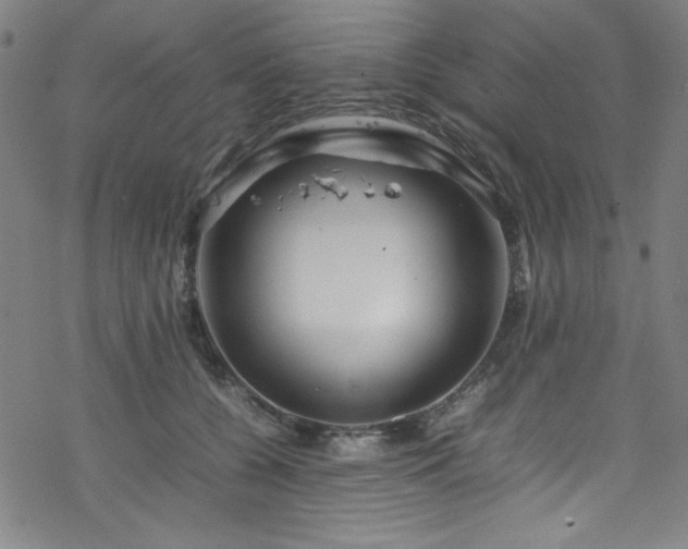 X0000070190560200606021100