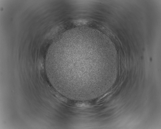 X0000070190561200606021100