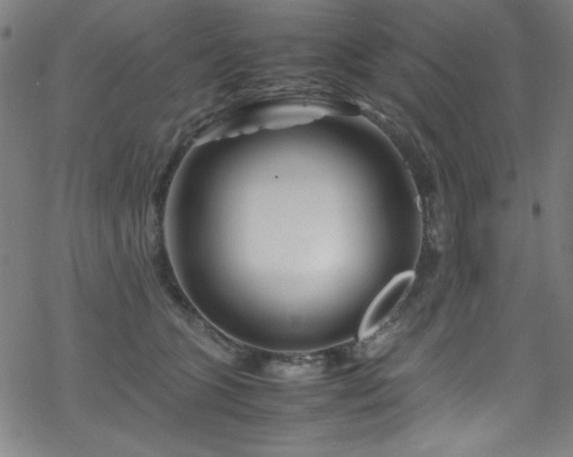 X0000070190563200606021100