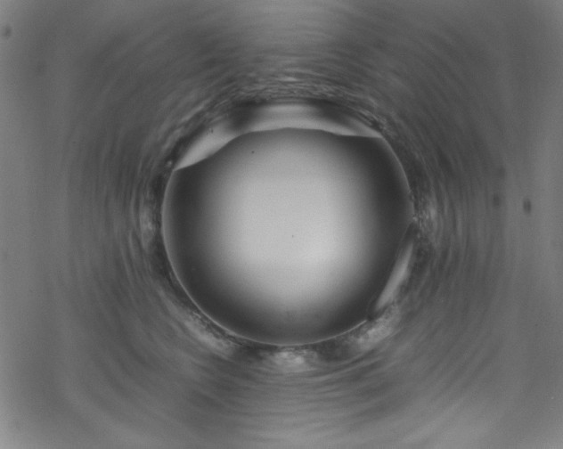 X0000070190566200606021100