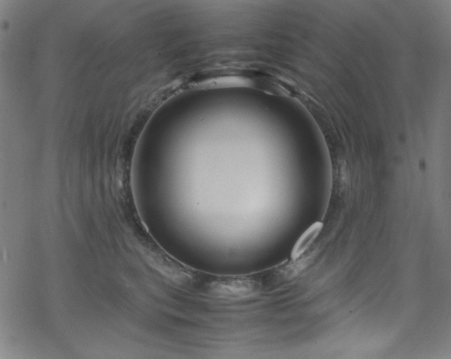 X0000070190567200606021100