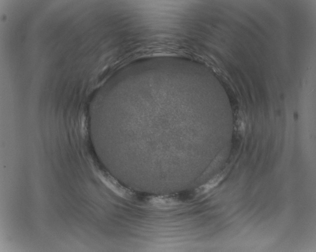 X0000070190568200606021100