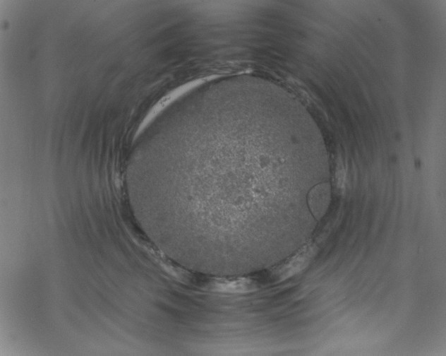 X0000070190569200606021100