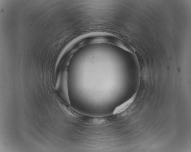 X0000070190570200606021100