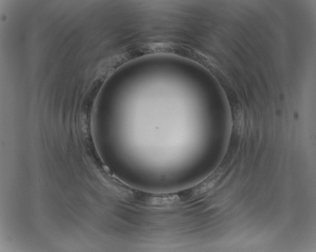 X0000070190571200606021100