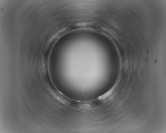 X0000070190572200606021100