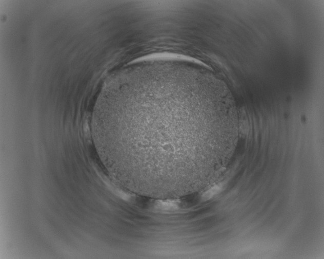 X0000070190573200606021100