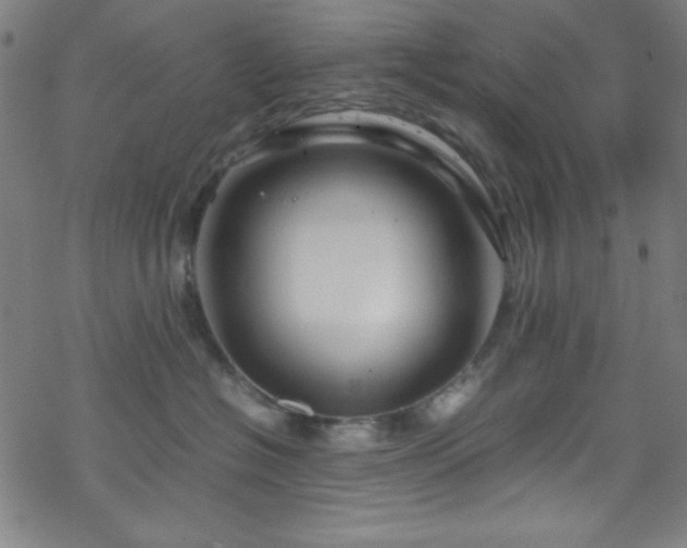 X0000070190574200606021100