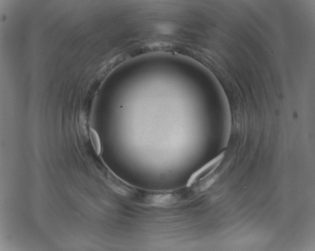 X0000070190575200606021100