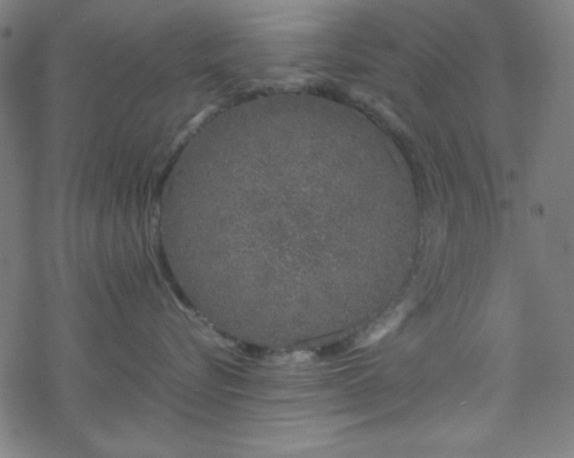 X0000070190576200606021100