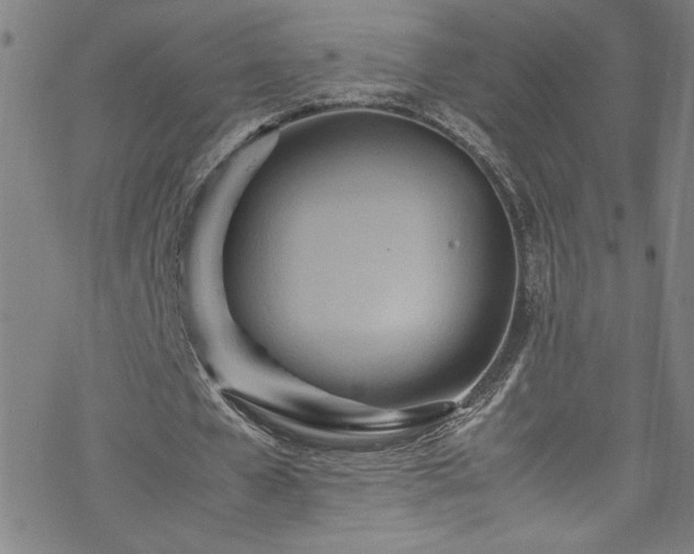 X0000070190577200606021059