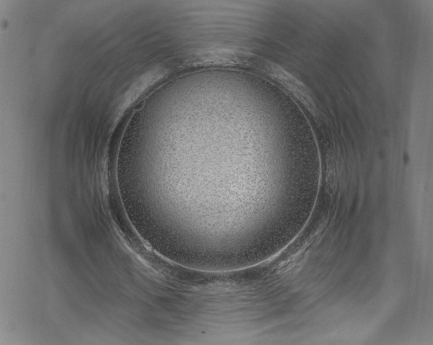 X0000070190578200606021059