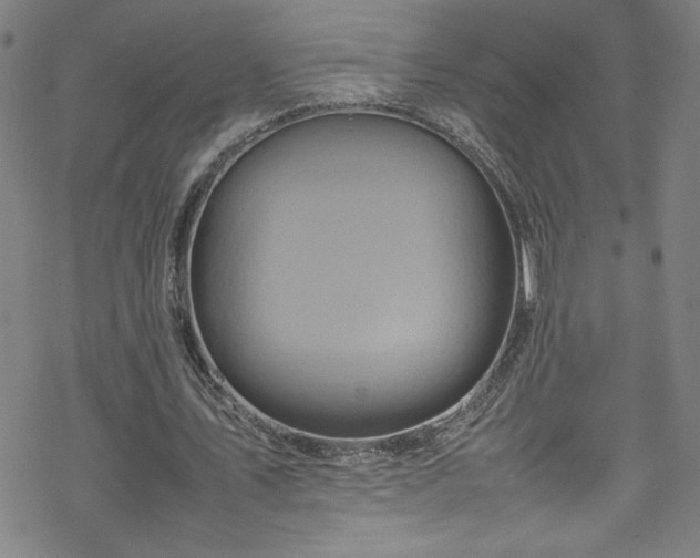 X0000070190579200606021059