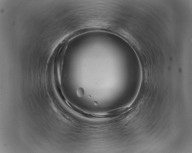 X0000070190580200606021059