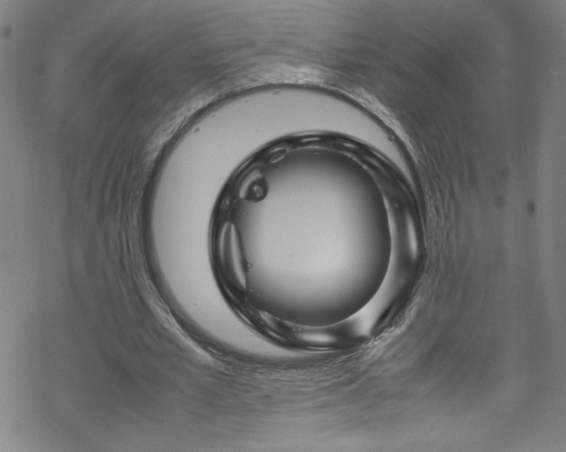 X0000070190581200606021059