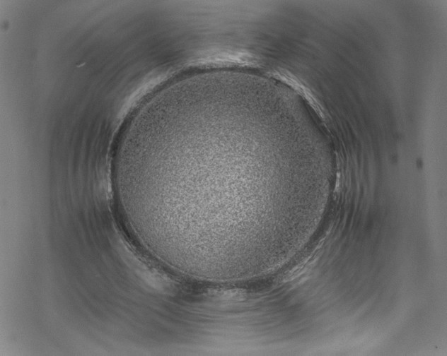 X0000070190582200606021059