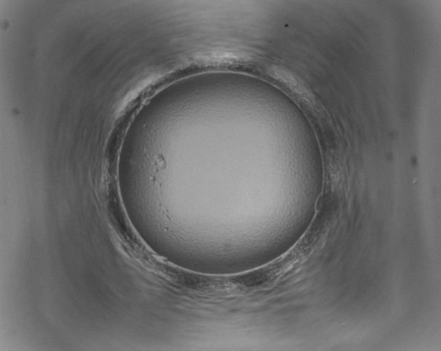 X0000070190583200606021059