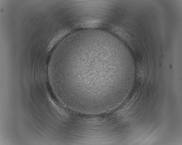 X0000070190586200606021059