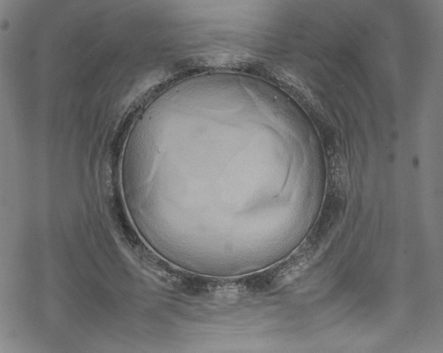 X0000070190587200606021059