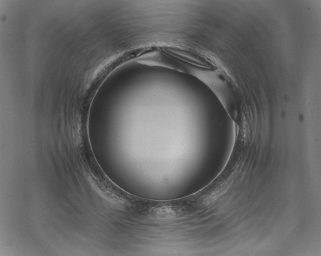 X0000070190588200606021059