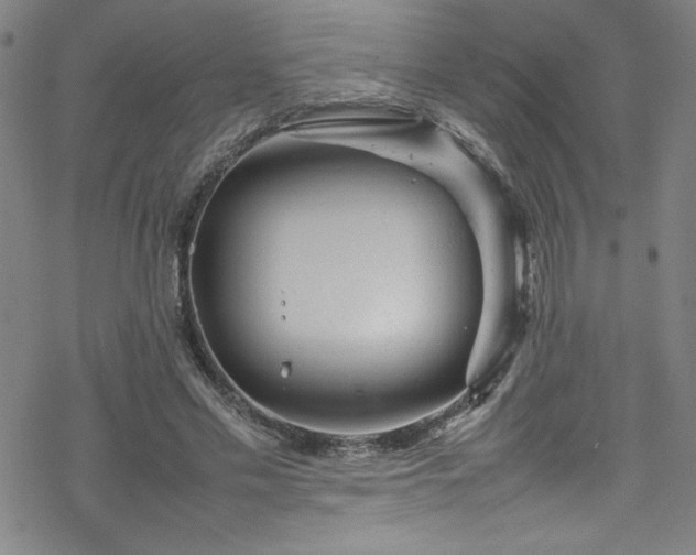 X0000070190589200606021059