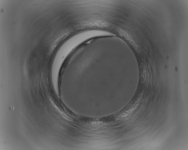 X0000070190590200606021059