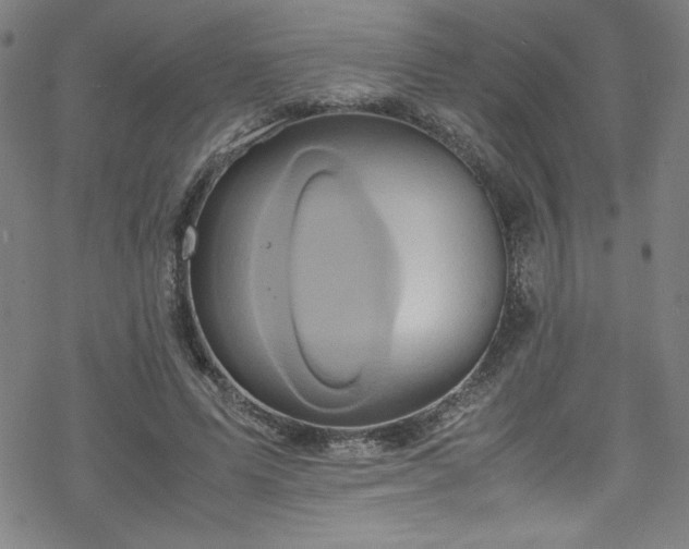 X0000070190591200606021059