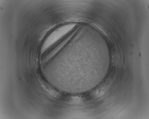 X0000070190592200606021059