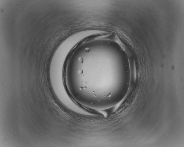 X0000070190593200606021059