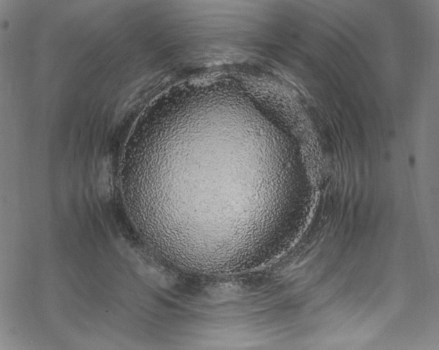 X0000070190594200606021059