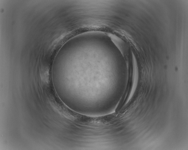 X0000070190596200606021059