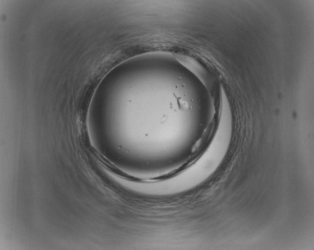 X0000070190597200606021059