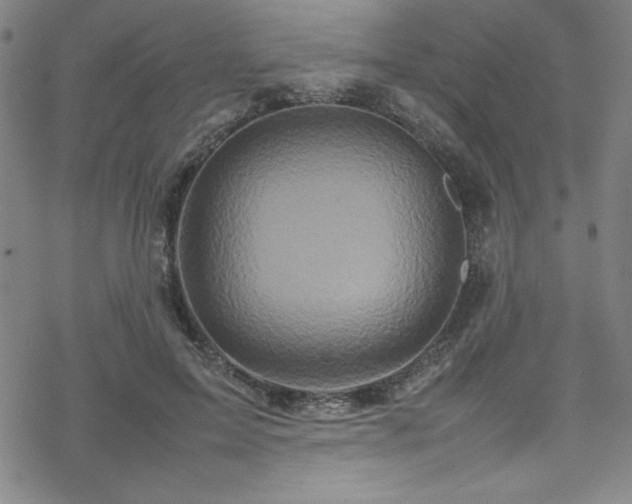 X0000070190599200606021059