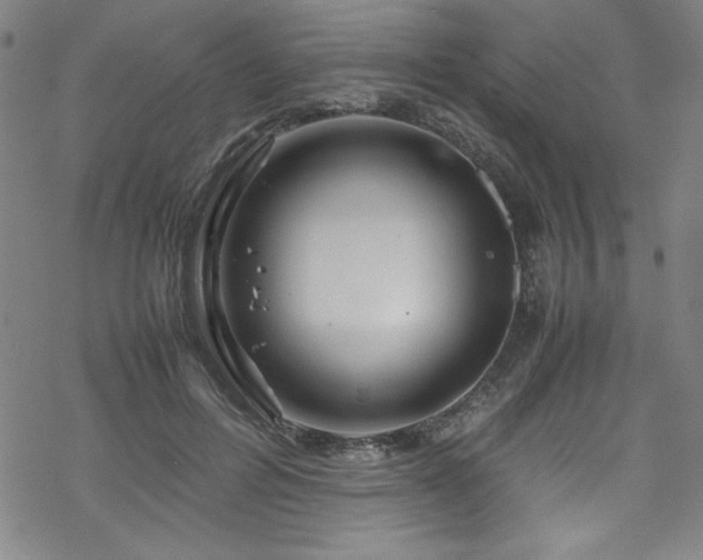 X0000070190600200606021059