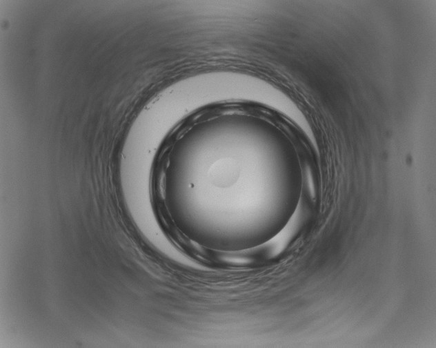 X0000070190601200606021059