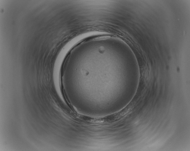 X0000070190602200606021059