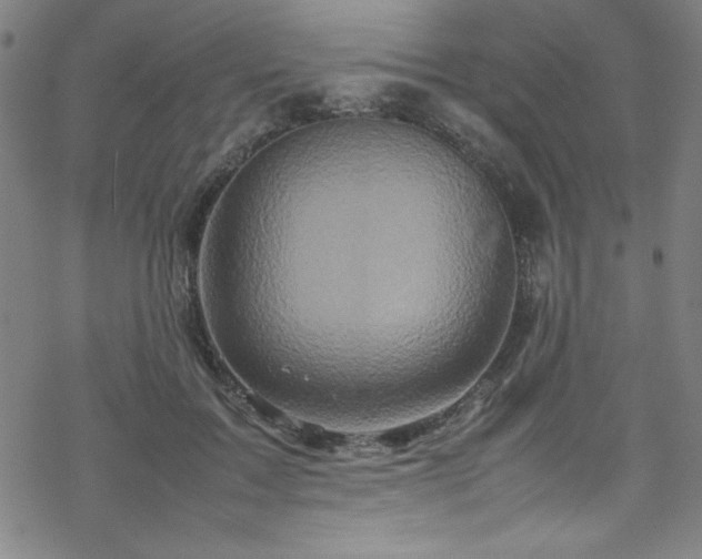 X0000070190603200606021059