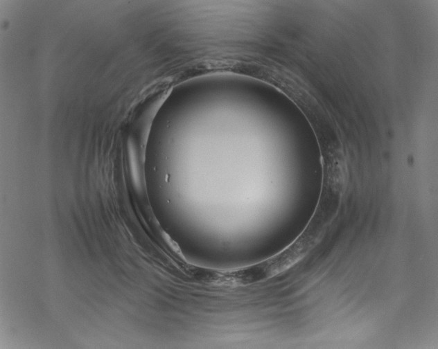 X0000070190604200606021059