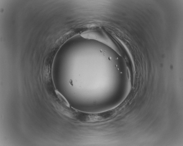 X0000070190605200606021059