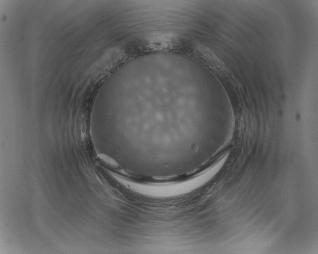 X0000070190606200606021059