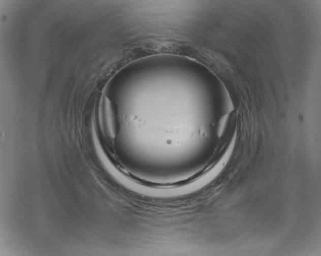 X0000070190607200606021059