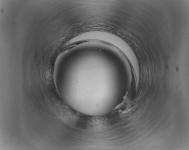 X0000070190608200606021059