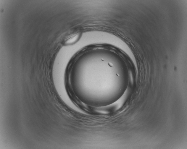 X0000070190609200606021059