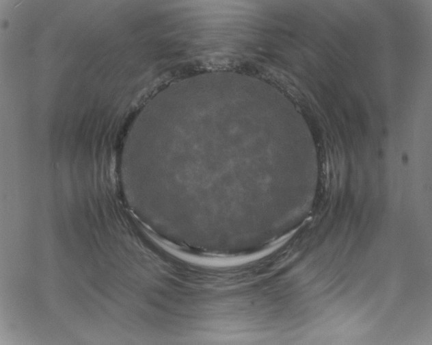 X0000070190610200606021059