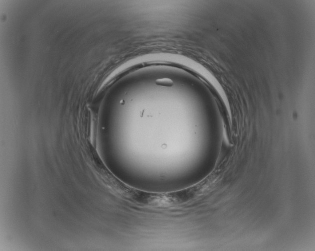 X0000070190611200606021059