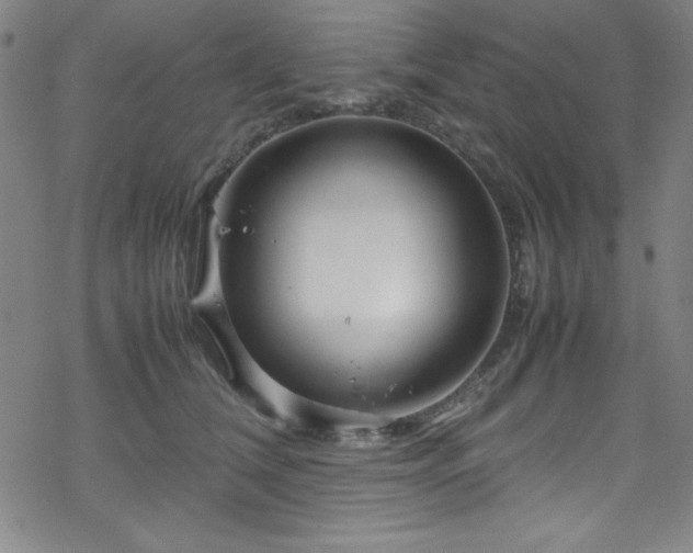 X0000070190612200606021059