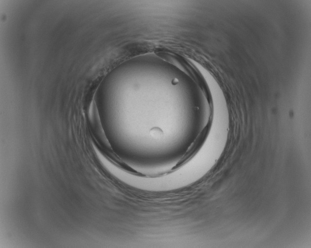 X0000070190613200606021059