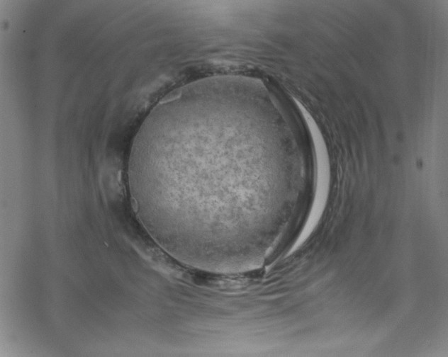 X0000070190615200606021059