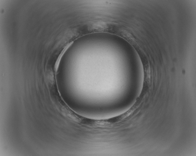 X0000070190617200606021059